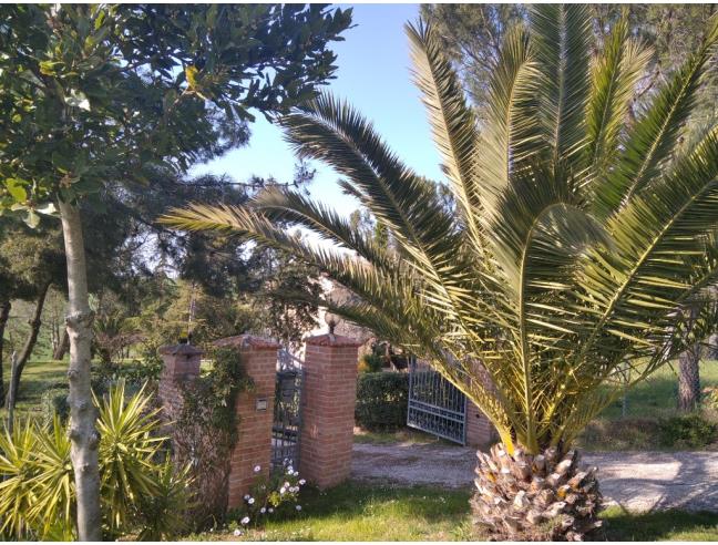 Anteprima foto 2 - Affitto Rustico/Casale Vacanze da Privato a Senigallia (Ancona)