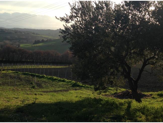 Anteprima foto 4 - Affitto Rustico/Casale Vacanze da Privato a Senigallia - San Silvestro