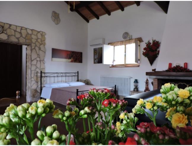 Anteprima foto 4 - Affitto Rustico/Casale Vacanze da Privato a Terracina (Latina)