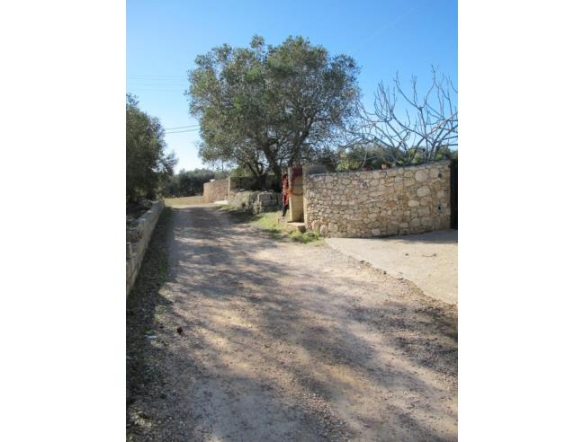 Anteprima foto 8 - Affitto Rustico/Casale Vacanze da Privato a Tricase - Porto Tricase