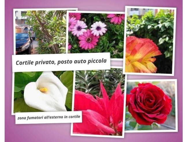 Anteprima foto 2 - Affitto Stanza Doppia in Appartamento da Privato a Cagliari - Centro città