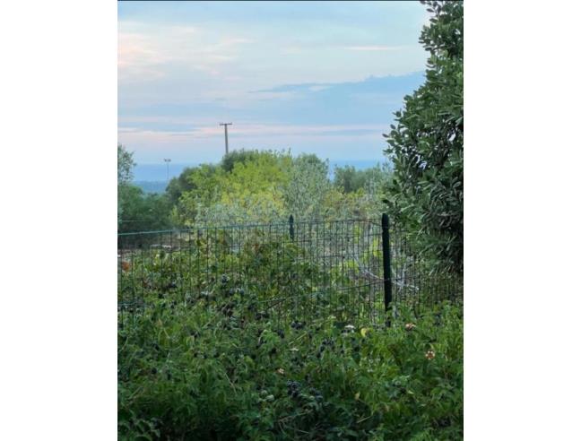 Anteprima foto 5 - Affitto Stanza Doppia in Appartamento da Privato a Ostuni (Brindisi)