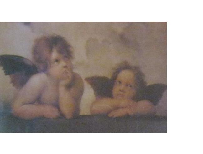 Anteprima foto 2 - Affitto Stanza Doppia in Rustico/Casale da Privato a Cavezzo - Ponte Motta