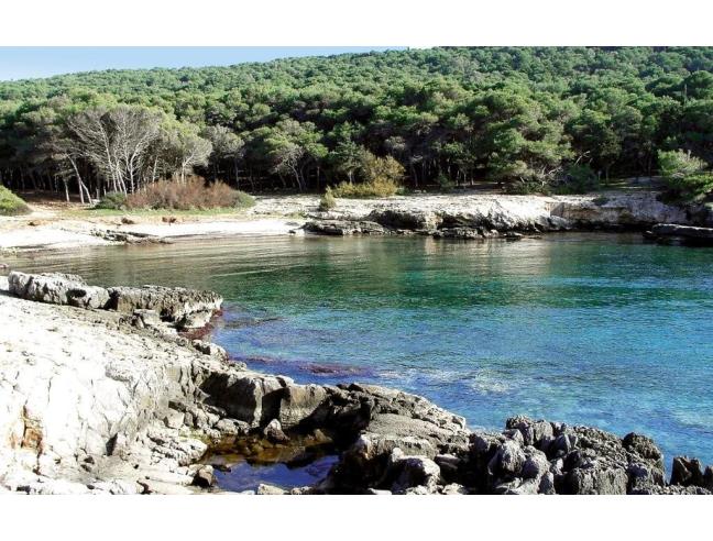 Anteprima foto 7 - Affitto Stanza Doppia in Villa da Privato a Nardò - Santa Caterina