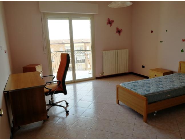 Anteprima foto 2 - Affitto Stanza Singola in Appartamento da Privato a Campobasso - Centro città