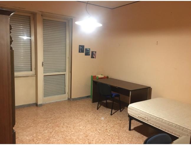 Anteprima foto 8 - Affitto Stanza Singola in Appartamento da Privato a Campobasso - Centro città