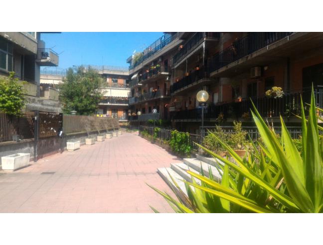 Anteprima foto 3 - Affitto Stanza Singola in Appartamento da Privato a Catania - Canalicchio