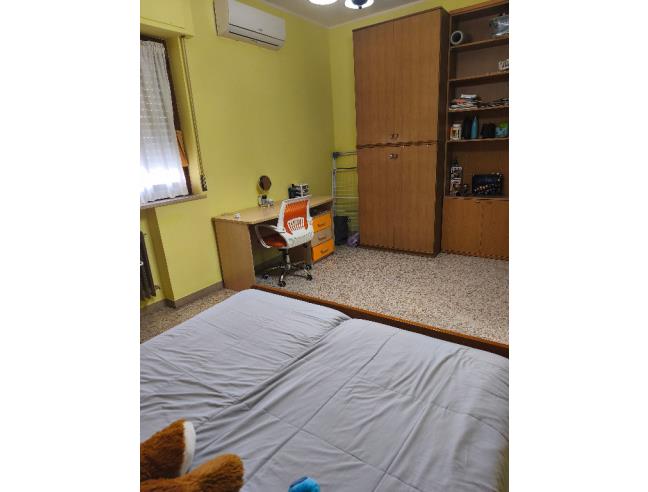 Anteprima foto 5 - Affitto Stanza Singola in Appartamento da Privato a Catanzaro - Catanzaro Marina