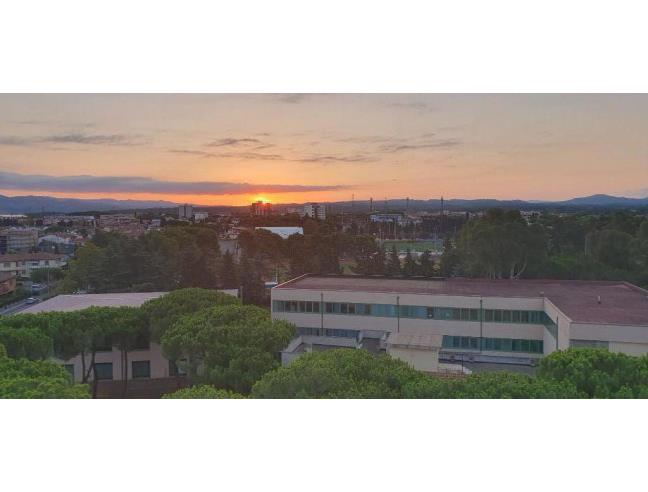 Anteprima foto 2 - Affitto Stanza Singola in Appartamento da Privato a Cecina (Livorno)