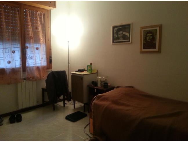 Anteprima foto 2 - Affitto Stanza Singola in Appartamento da Privato a Grosseto (Grosseto)