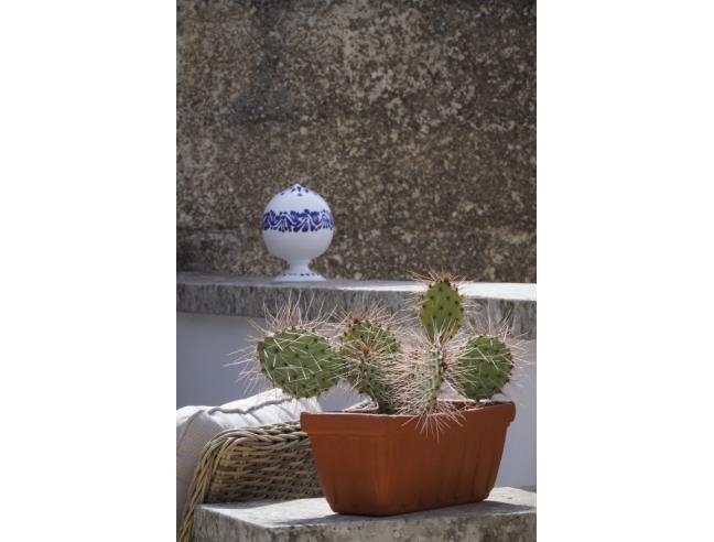 Anteprima foto 2 - Affitto Stanza Singola in Appartamento da Privato a Lecce - Centro città