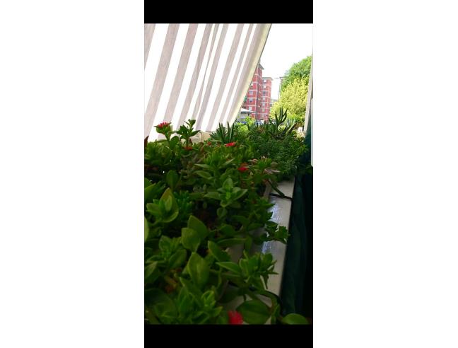 Anteprima foto 6 - Affitto Stanza Singola in Appartamento da Privato a Milano - Forze Armate