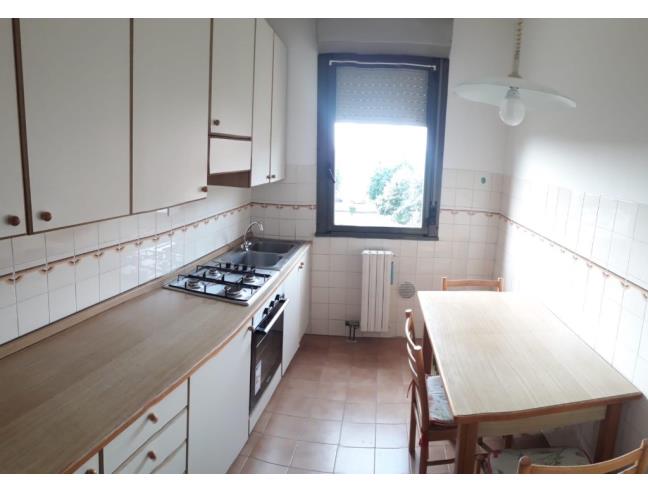 Anteprima foto 2 - Affitto Stanza Singola in Appartamento da Privato a Pavia (Pavia)