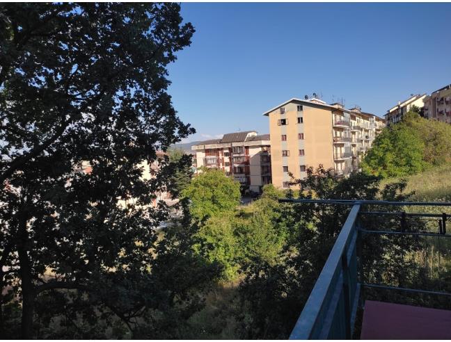 Anteprima foto 8 - Affitto Stanza Singola in Appartamento da Privato a Potenza (Potenza)