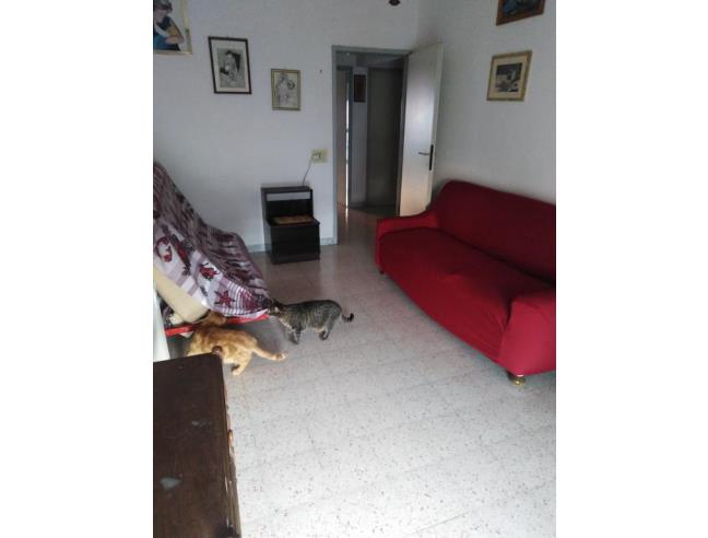 Anteprima foto 3 - Affitto Stanza Singola in Appartamento da Privato a Roma - Laurentina