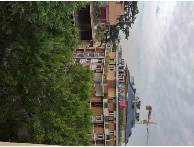 Anteprima foto 1 - Affitto Stanza Singola in Appartamento da Privato a Roma - Romanina