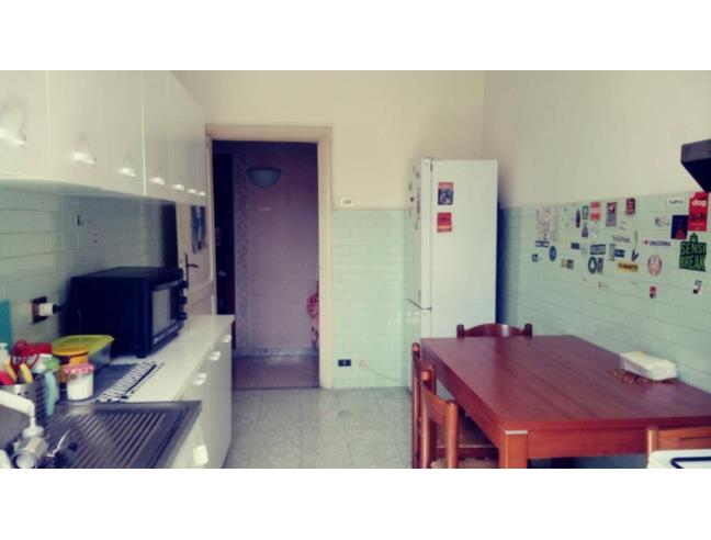 Anteprima foto 5 - Affitto Stanza Singola in Appartamento da Privato a Roma - San Lorenzo