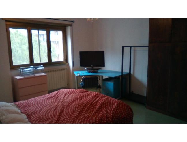 Anteprima foto 2 - Affitto Stanza Singola in Appartamento da Privato a Roma - San Paolo