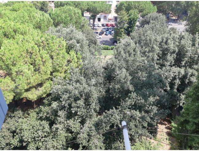 Anteprima foto 8 - Affitto Stanza Singola in Appartamento da Privato a Roma - San Paolo