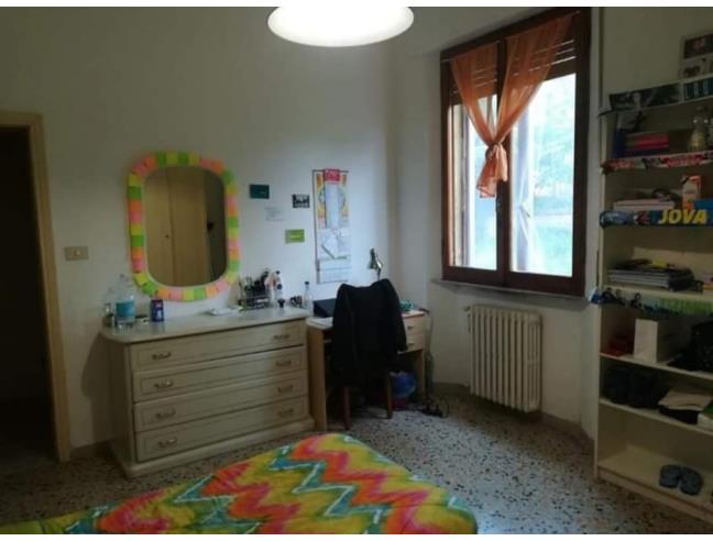 Anteprima foto 2 - Affitto Stanza Singola in Appartamento da Privato a Siena (Siena)