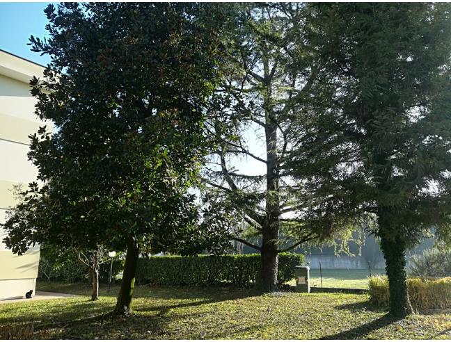 Anteprima foto 6 - Affitto Stanza Singola in Appartamento da Privato a Stra (Venezia)