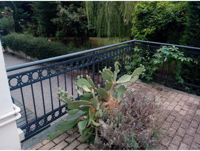 Anteprima foto 3 - Affitto Stanza Singola in Appartamento da Privato a Treviso - Fuori Mura Ovest