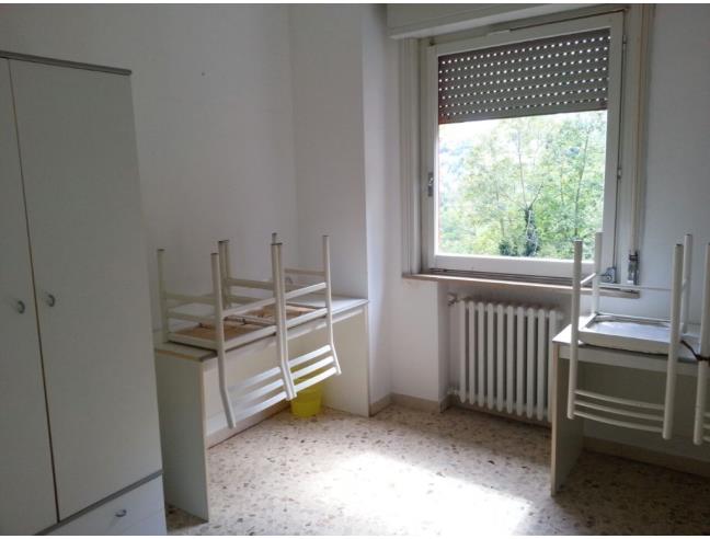 Anteprima foto 2 - Affitto Stanza Singola in Appartamento da Privato a Urbino (Pesaro e Urbino)