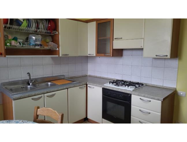 Anteprima foto 5 - Affitto Stanza Singola in Appartamento da Privato a Urbino (Pesaro e Urbino)