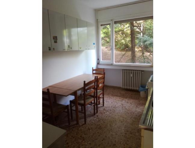Anteprima foto 8 - Affitto Stanza Singola in Appartamento da Privato a Urbino (Pesaro e Urbino)