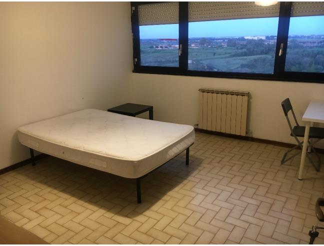 Anteprima foto 3 - Affitto Stanza Singola in Casa indipendente da Privato a Campagnano di Roma (Roma)