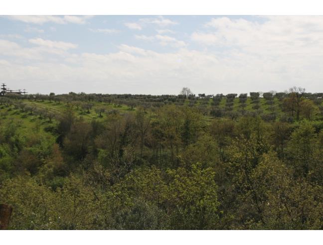 Anteprima foto 5 - Affitto Stanza Singola in Villetta a schiera da Privato a Aprilia - Sassi Rossi