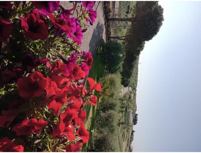 Anteprima foto 3 - Affitto Stanza Tripla in Appartamento da Privato a Lavello (Potenza)