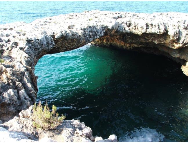 Anteprima foto 6 - Affitto Stanza Tripla in Porzione di casa da Privato a Conversano (Bari)
