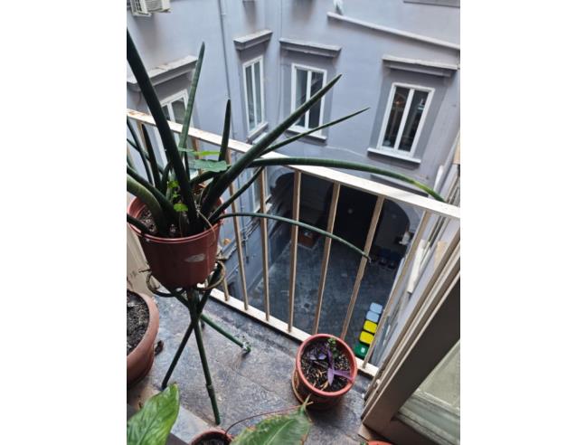 Anteprima foto 8 - Affitto Stanza Tripla in Porzione di casa da Privato a Napoli - Centro Storico