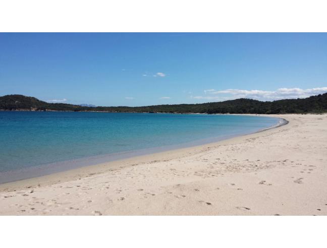 Anteprima foto 8 - Affitto Villa Vacanze da Privato a Arzachena (Sassari)