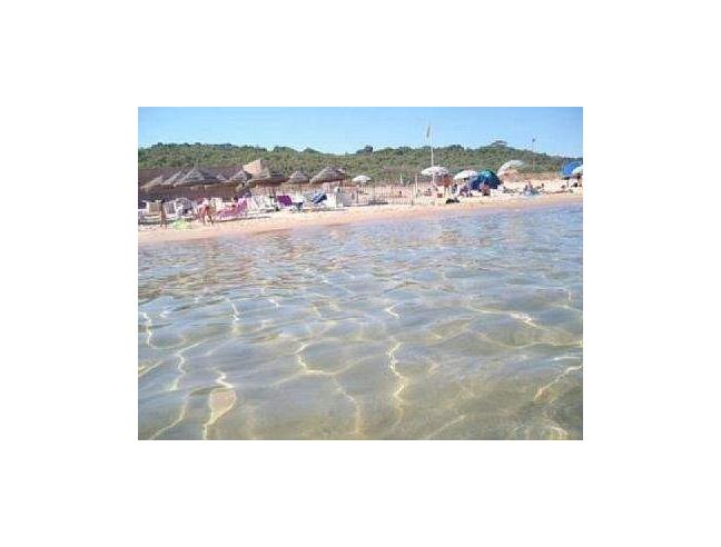 Anteprima foto 6 - Affitto Villa Vacanze da Privato a Balestrate (Palermo)