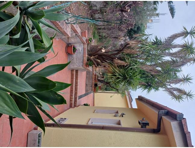 Anteprima foto 4 - Affitto Villa Vacanze da Privato a Brancaleone - Brancaleone Marina