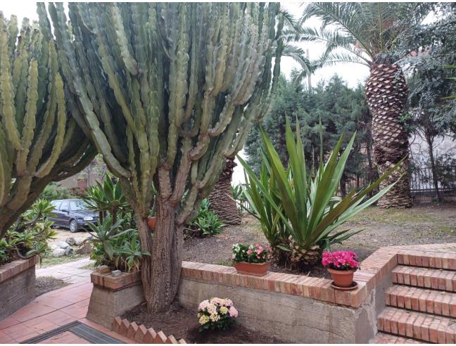 Anteprima foto 5 - Affitto Villa Vacanze da Privato a Brancaleone - Brancaleone Marina