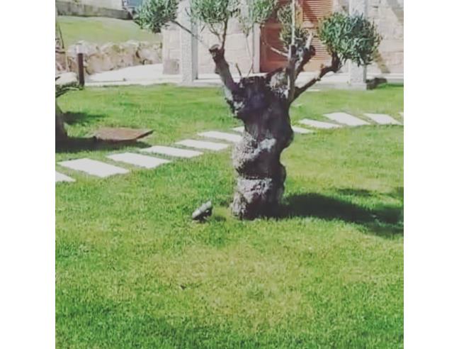 Anteprima foto 4 - Affitto Villa Vacanze da Privato a Budoni - Tanaunella