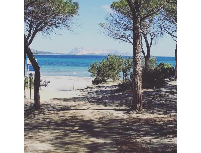 Anteprima foto 5 - Affitto Villa Vacanze da Privato a Budoni - Tanaunella