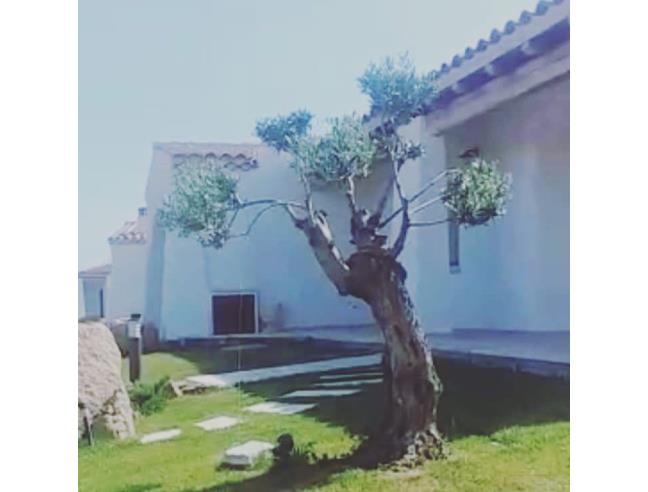 Anteprima foto 6 - Affitto Villa Vacanze da Privato a Budoni - Tanaunella