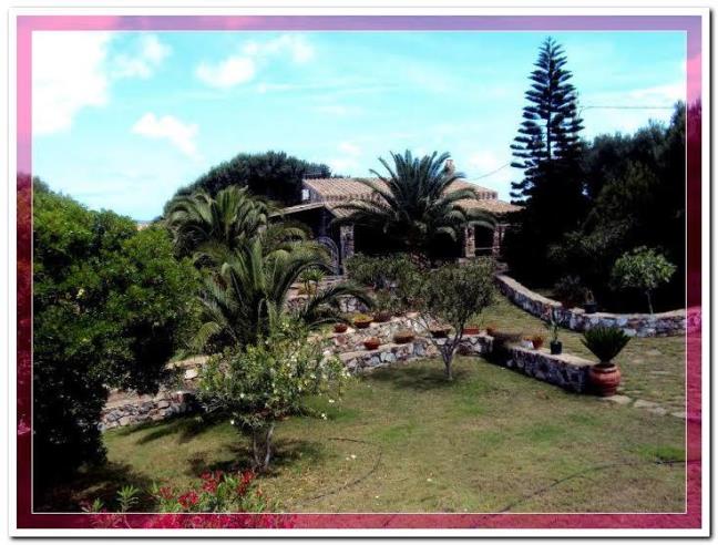 Anteprima foto 1 - Affitto Villa Vacanze da Privato a Calasetta (Sud Sardegna)
