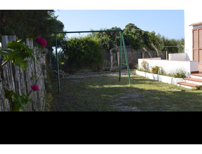 Anteprima foto 3 - Affitto Villa Vacanze da Privato a Calasetta (Sud Sardegna)