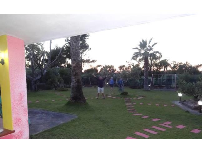 Anteprima foto 3 - Affitto Villa Vacanze da Privato a Calasetta (Sud Sardegna)