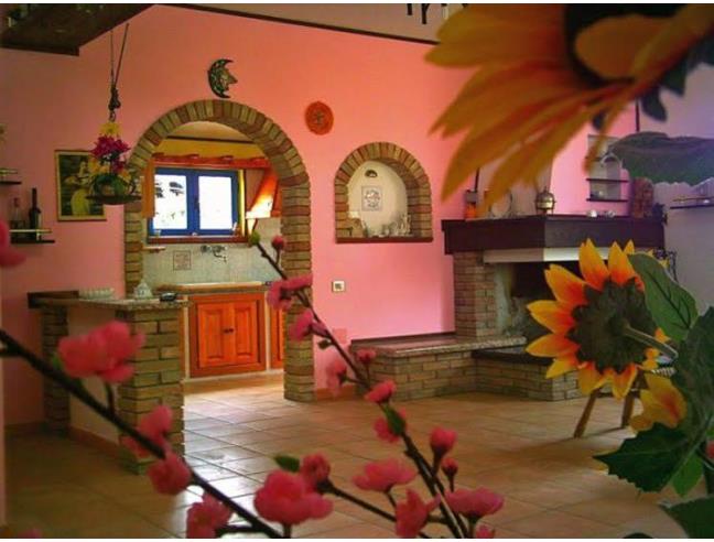 Anteprima foto 4 - Affitto Villa Vacanze da Privato a Calasetta (Sud Sardegna)