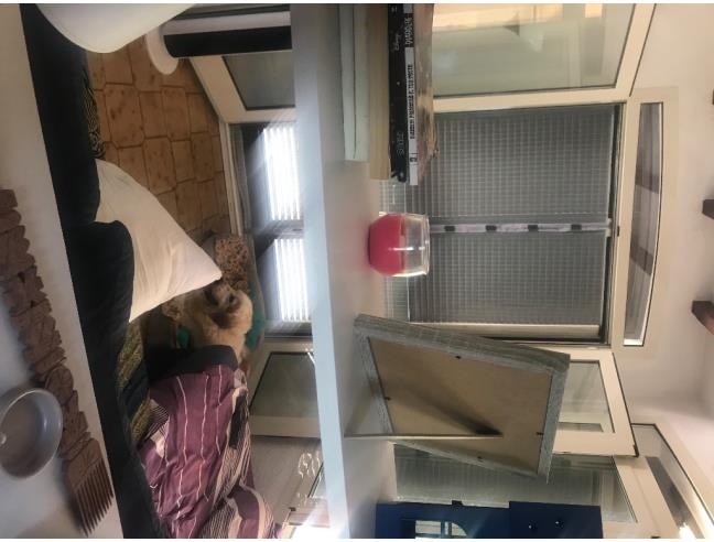 Anteprima foto 6 - Affitto Villa Vacanze da Privato a Capoliveri (Livorno)