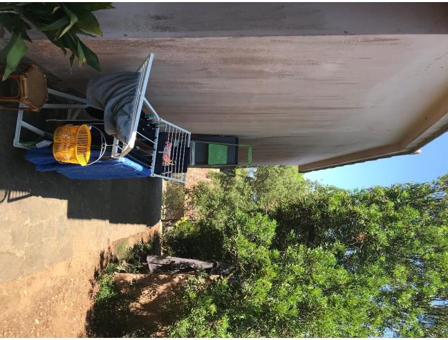 Anteprima foto 8 - Affitto Villa Vacanze da Privato a Capoliveri (Livorno)