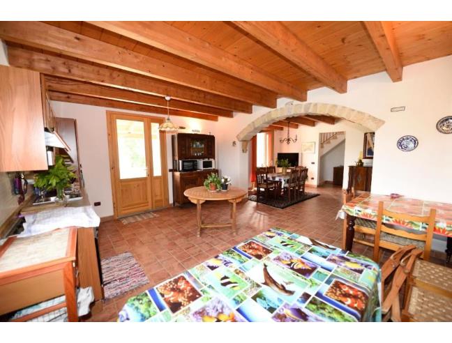 Anteprima foto 4 - Affitto Villa Vacanze da Privato a Carloforte (Sud Sardegna)