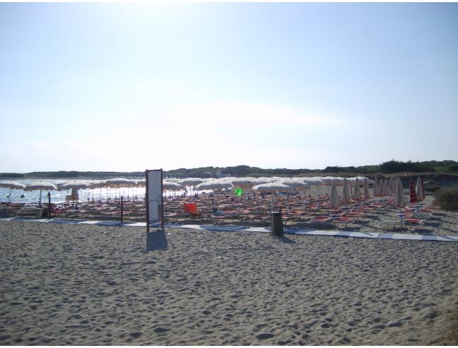 Anteprima foto 4 - Affitto Villa Vacanze da Privato a Carovigno - Pantanagianni