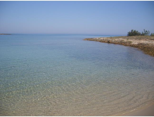 Anteprima foto 7 - Affitto Villa Vacanze da Privato a Carovigno - Pantanagianni